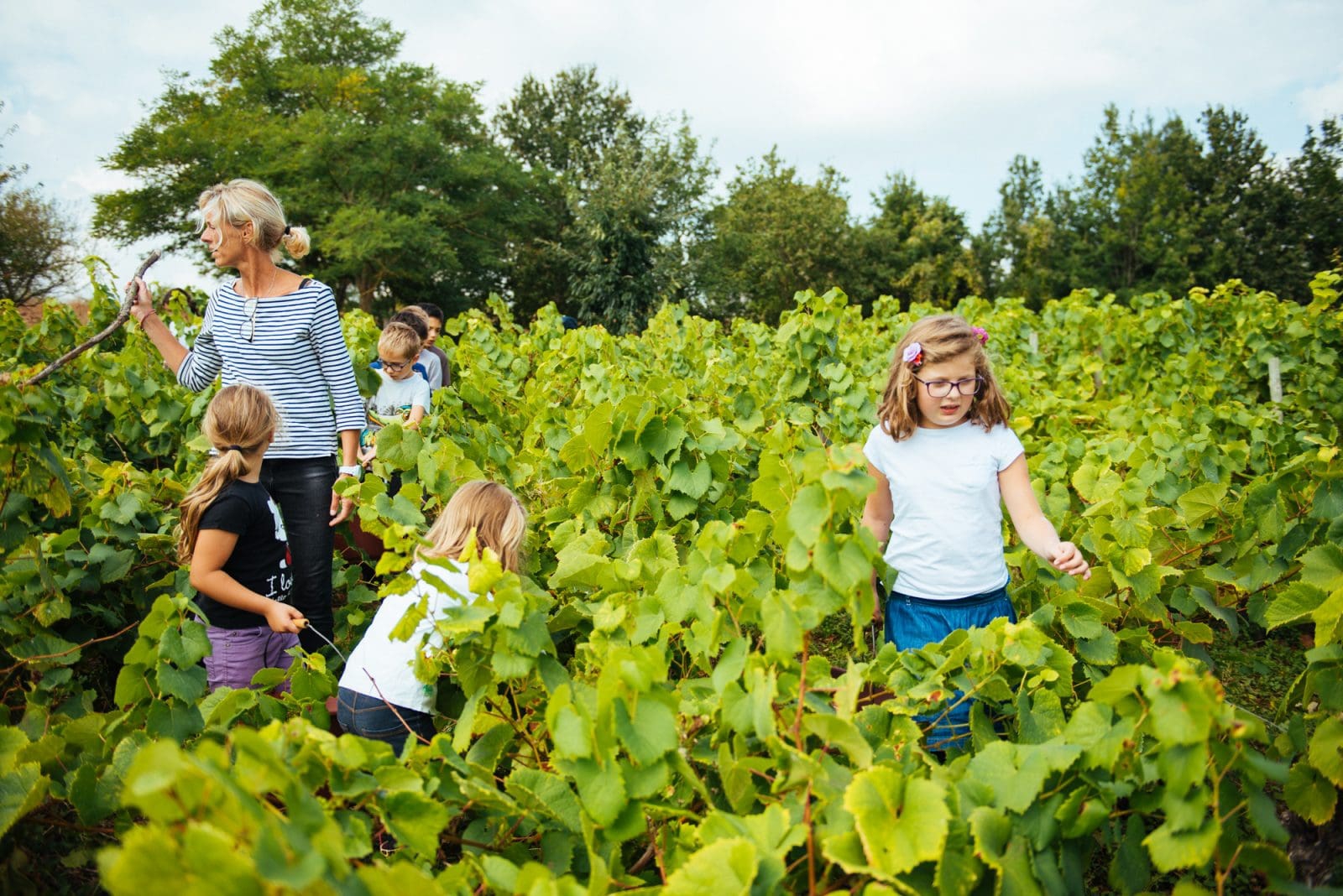 tourisme-vignoble-avril22